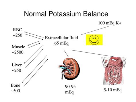 Normal Potassium Levels