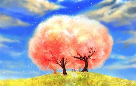 梦见树开花是什么意思预兆 - 原版周公解梦大全