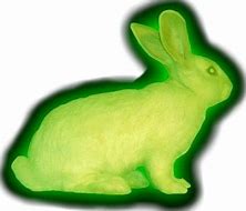Image result for Cool Bunny Vector