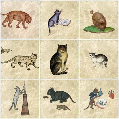 Medieval cat paintings barnorama ... - mindsseka