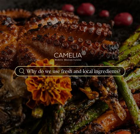 CAMELIA Modern Mexican Cuisine (@cameliamodernmexicancuisine ...