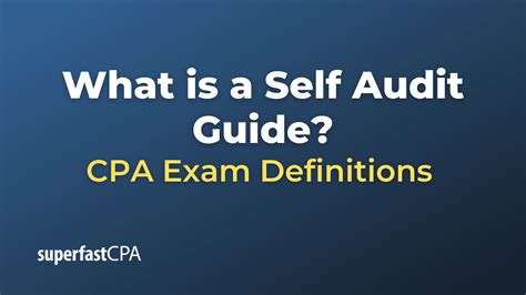 Audit Guide 的图像结果