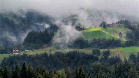 Wallpaper forest, trees, fog, house, aerial view, nature hd, picture, image