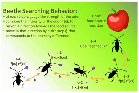 Credit and Loan Approval Classification Using a Bio-Inspired Neural Network