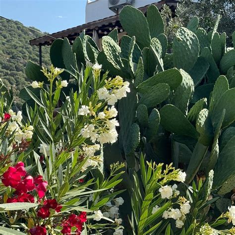 KAKTUS BEACH APART (Kas) - Lodging Reviews & Photos - Tripadvisor