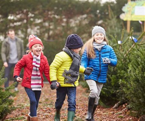 Actividades de invierno para niños - Twinkl