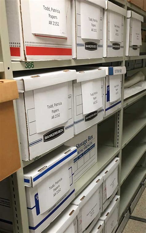 Image result for Collection Database