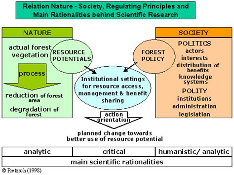 Forestry Science 的图像结果