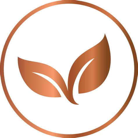 Buy Organic Cold Pressed Almond Oil for Newborn | Baby Forest