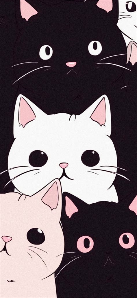 Funny Cats Aesthetic Wallpapers - Cool Cats Wallpaper for iPhone