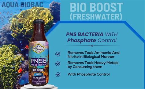 Aqua Biobac PNSB Bioboost [ for Freshwater ] : Amazon.in: Pet Supplies