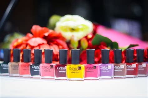 Amazon.in: Color Fx: Perfect Stay