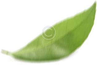 Drugs Laboratories : – 3rd aManufacturer and Distributor Unanin Medicines