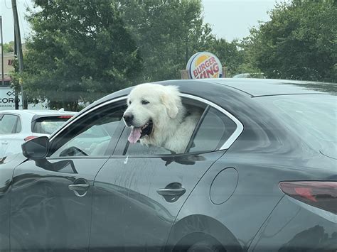 I don't have one, but I love them! Look at this beauty I saw today. : r ...