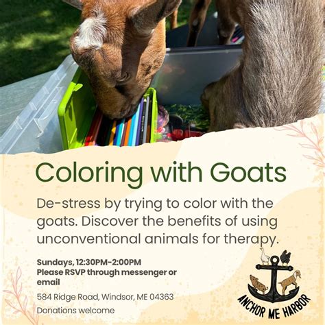 Coloring with Goats, 584 Ridge Road, Windsor, ME, 1 June 2025 | AllEvents