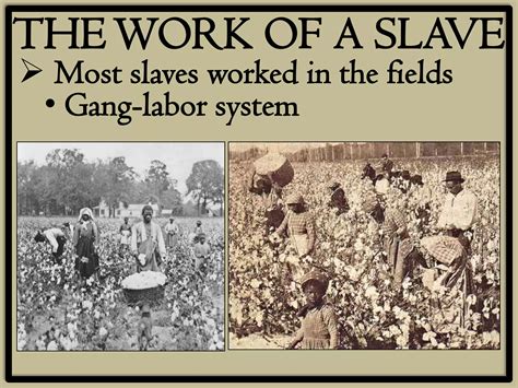 Task System 的图像结果