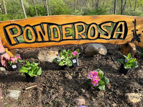 POND DAYZ, 2717 County Road 1250N, Homer, IL, United States, Illinois ...