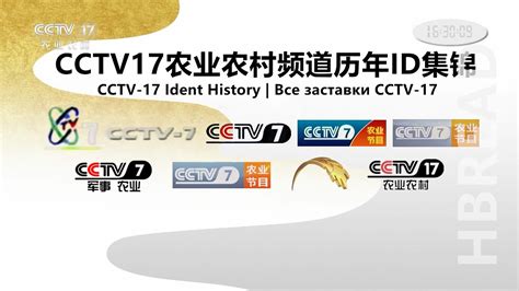 CCTV17 Ident History|CCTV17 農業農村 歷年台徽|Все заставки CCTV-17(1995-2021)