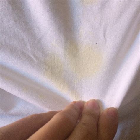 FOUNTAIN COURT MOTOR INN (Albury) - Motel Reviews, Photos, Rate ...