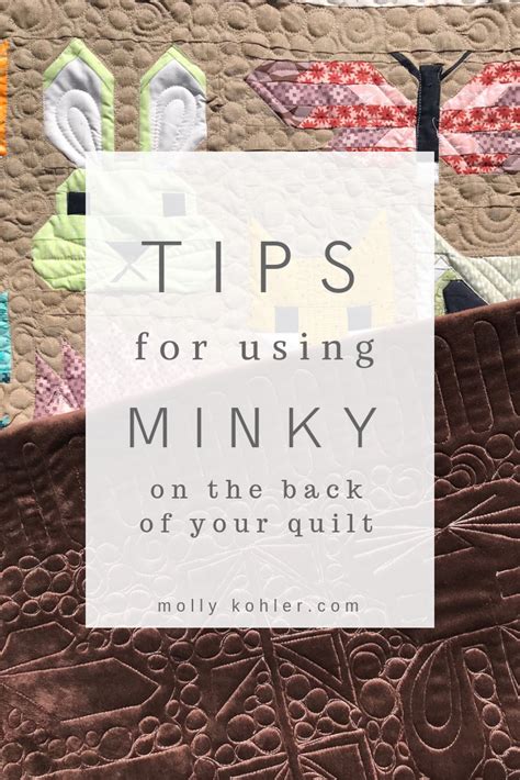 Using Minky for Quilt Backing 的图像结果