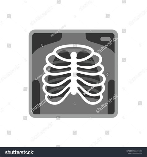 8,231 Scan Image Xray Icon Images, Stock Photos & Vectors | Shutterstock