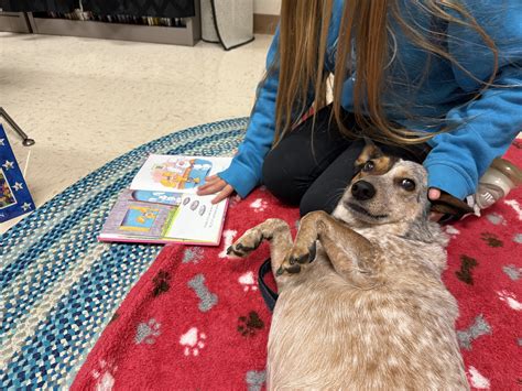 First Day of School 2025 | Rosie