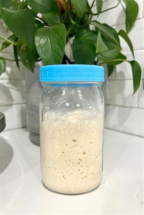 200+ Best Sourdough Starter Name Ideas - The Pantry Mama