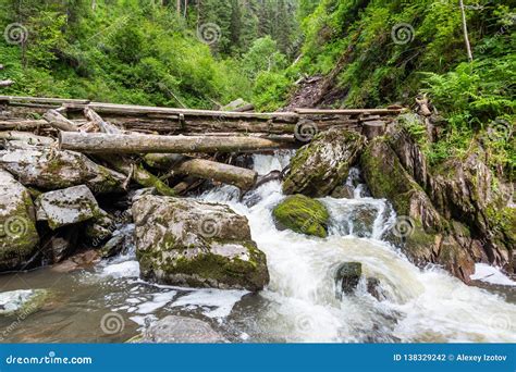 风雨如磐的山河在森林里在阿尔泰，俄罗斯 库存照片. 图片 包括有 石头, 青苔, 结算, 岩石, 季节 - 138329242