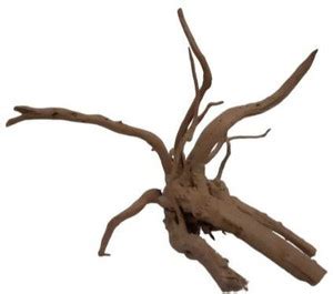 NTA Laterite Planted Substrate Price in India - Buy NTA Laterite ...