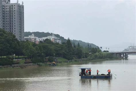衡阳市人民政府门户网站-两个月清捞水葫芦1600吨，衡阳全力确保江河洁净清爽
