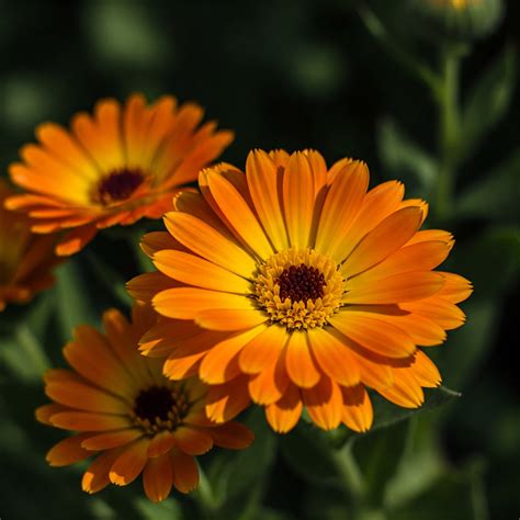 The Spiritual Meaning of Tuesday: A Day of Action and Courage - Wisdom ...