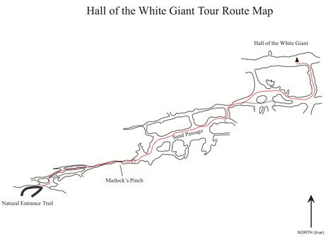 Carlsbad Caverns Maps | NPMaps.com - just free maps, period.