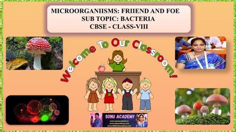 Image result for Class 8 Science Chapter 2