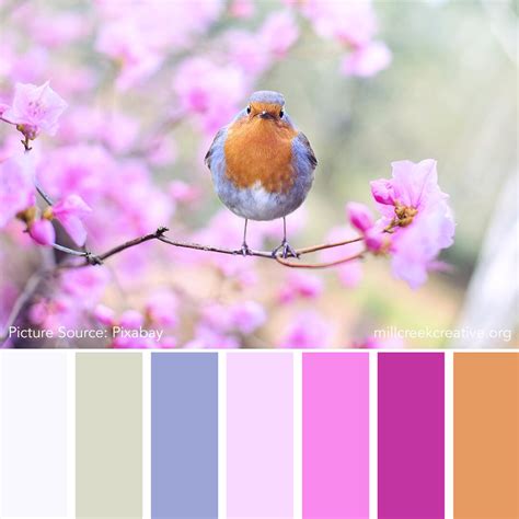 Spring Colour Pattern 的图像结果