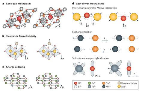 Multiferroics 的图像结果