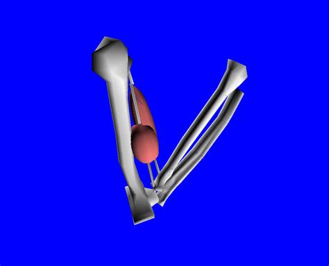 Animation Powerstroke Muscle 的图像结果