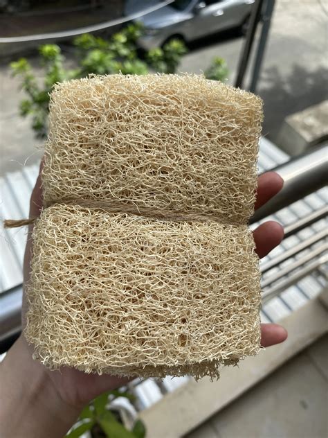 Vietnam Whole Dried Loofah For Kitchen Clean / Luffa Pad Sponge For Dish Washing - Buy Loofah ...