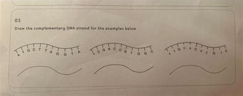 Image result for How to Make DNA Complementary Strands