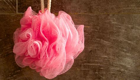 Image result for Loofah Tutorial