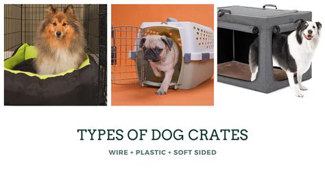 Image result for Cockapoo Crates