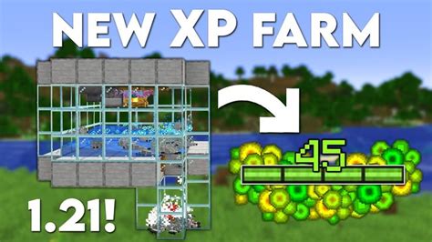 Image result for Easy XP Farms Minecraft Java 1.19