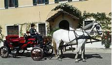 carrozza cavalli carrozza per matrimoni siena toscana carrozza cavalli carrozza per matrimoni siena toscana
