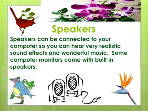 Video Understanding Computer 的图像结果