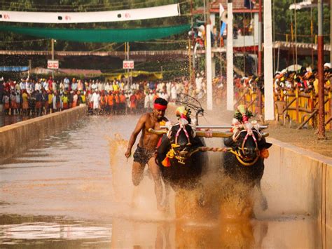 The famous five cultural festivals of Karnataka | Times of India Travel