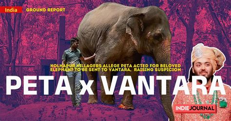 Indie Journal | Vantara's Elephant In The Room