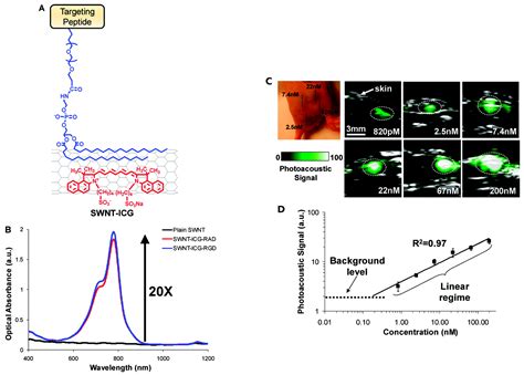 Carbon Nanotubes as an Effective Opportunity for Cancer Diagnosis and ...