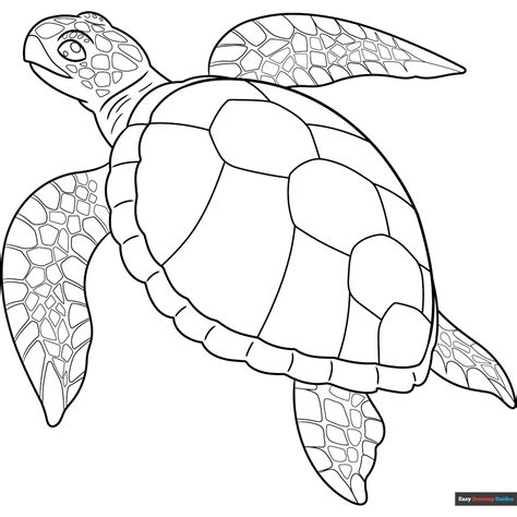 Realistic Sea Turtle | Turtle coloring pages, Turtle drawing, Sea turtle drawing