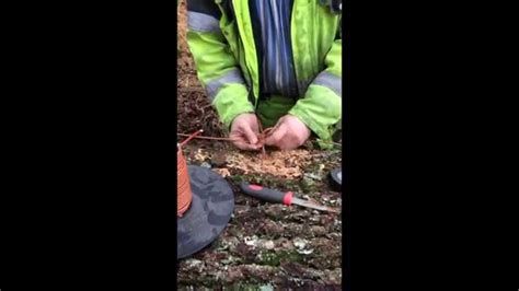 Image result for Apprentice Programs