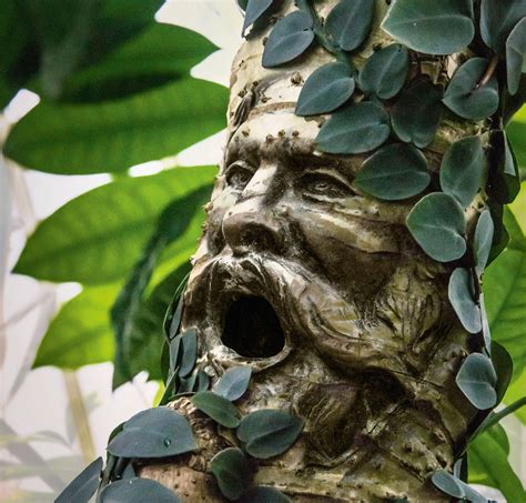 HOW TO... MASTER THE DISPLACE FILTER | Photography week - art - Read ...