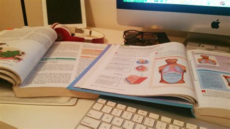 Nursing Assignment 的图像结果